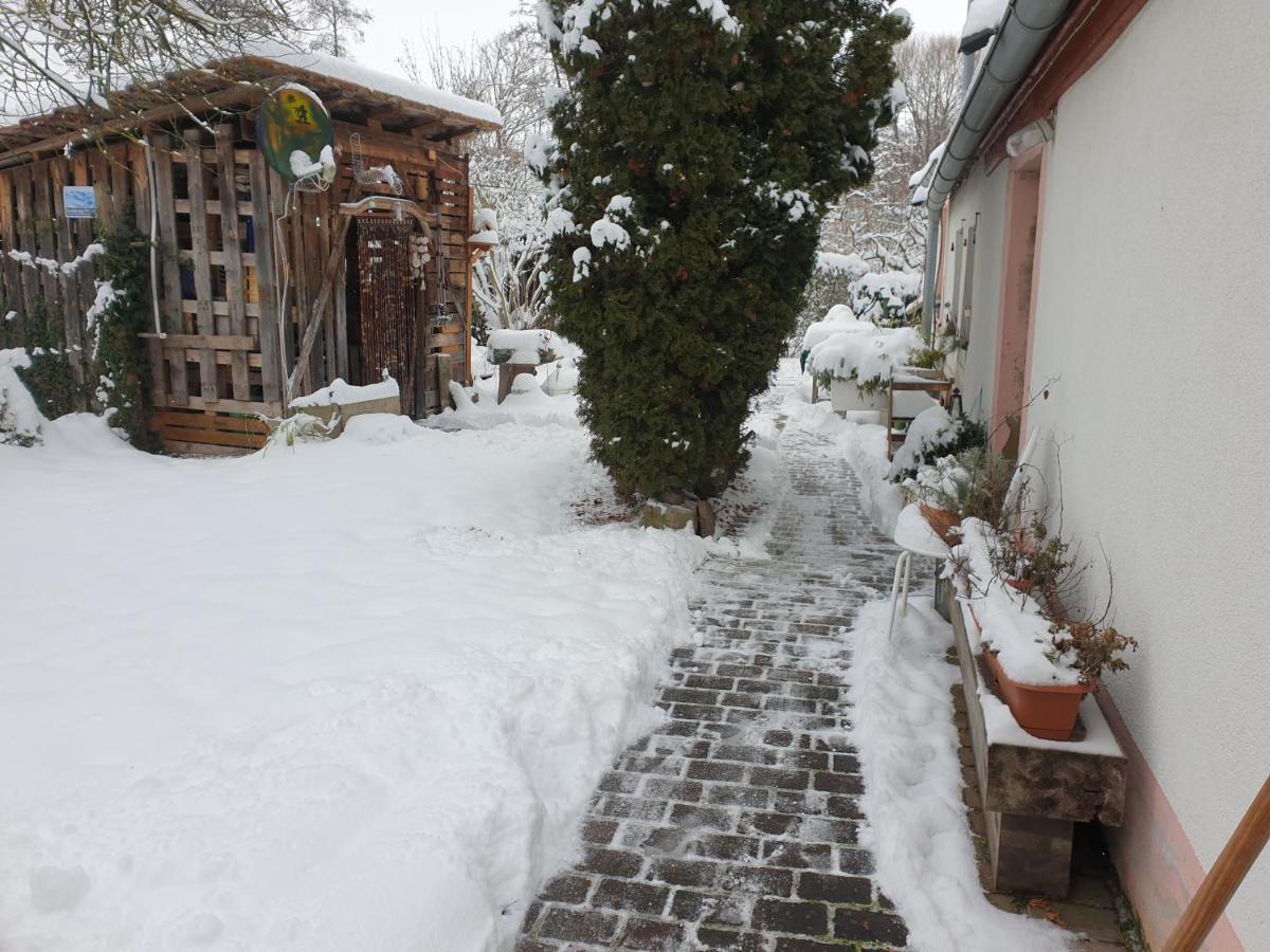 Unser Obervolkacher Ferienhaus-Einfach Gemutlich! Kültér fotó