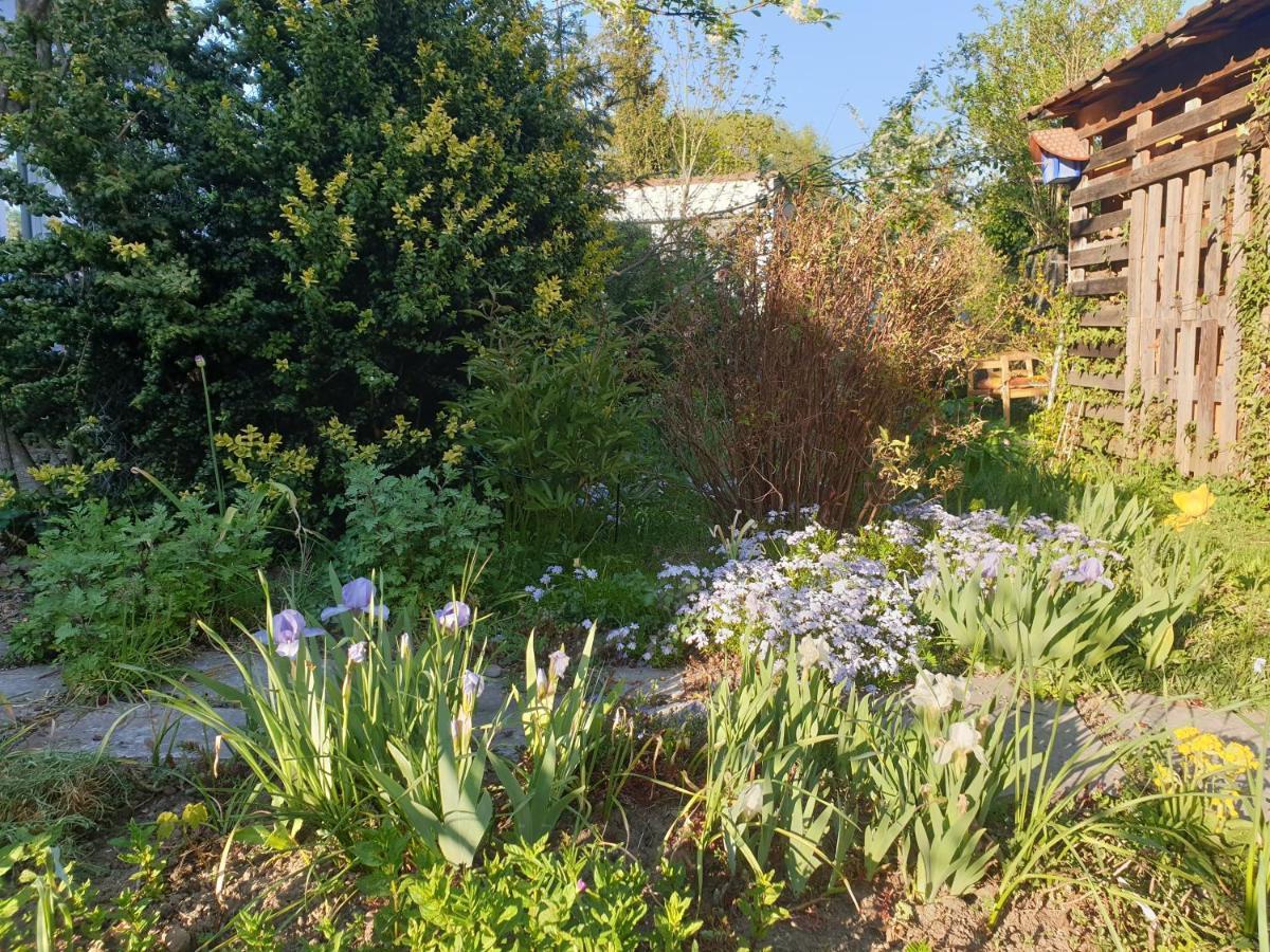 Unser Obervolkacher Ferienhaus-Einfach Gemutlich! Kültér fotó